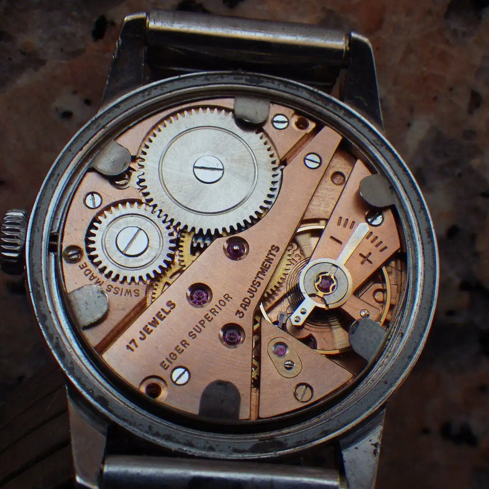 IMGP5231.webp