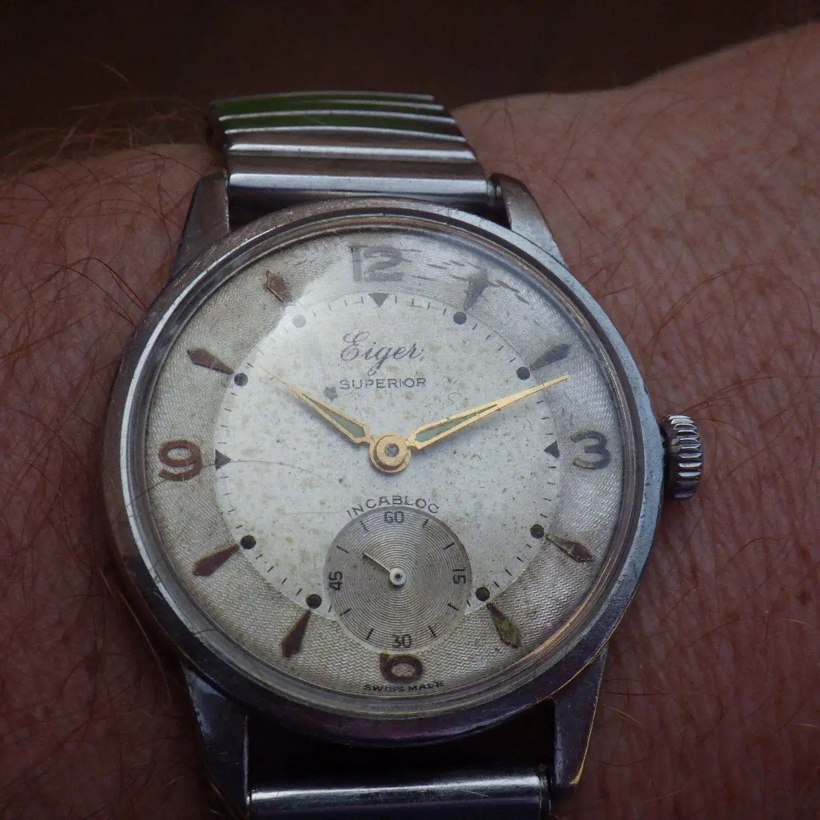 IMGP5232.webp