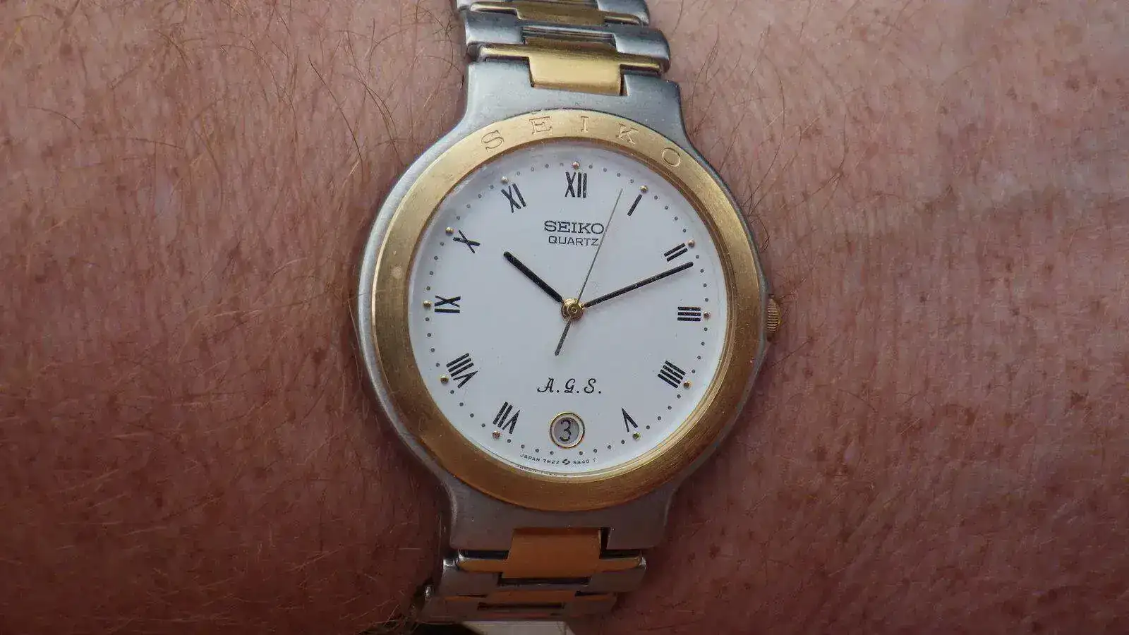 IMGP5275.webp