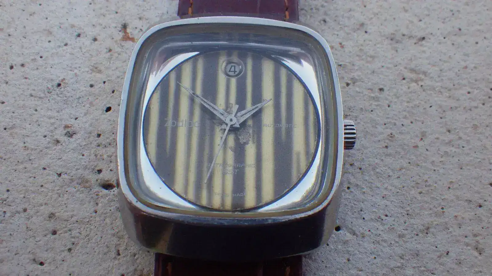 IMGP5286.webp