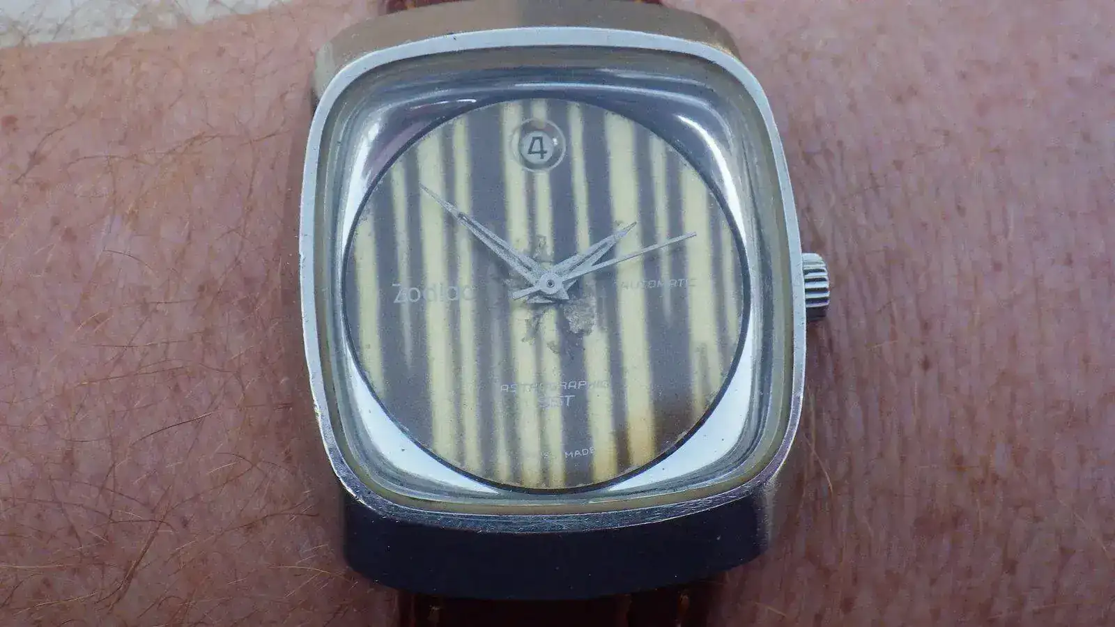 IMGP5287.webp