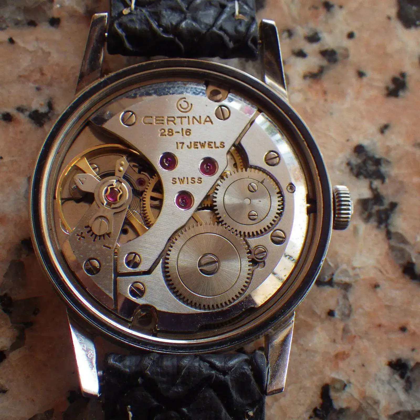 IMGP5315.webp