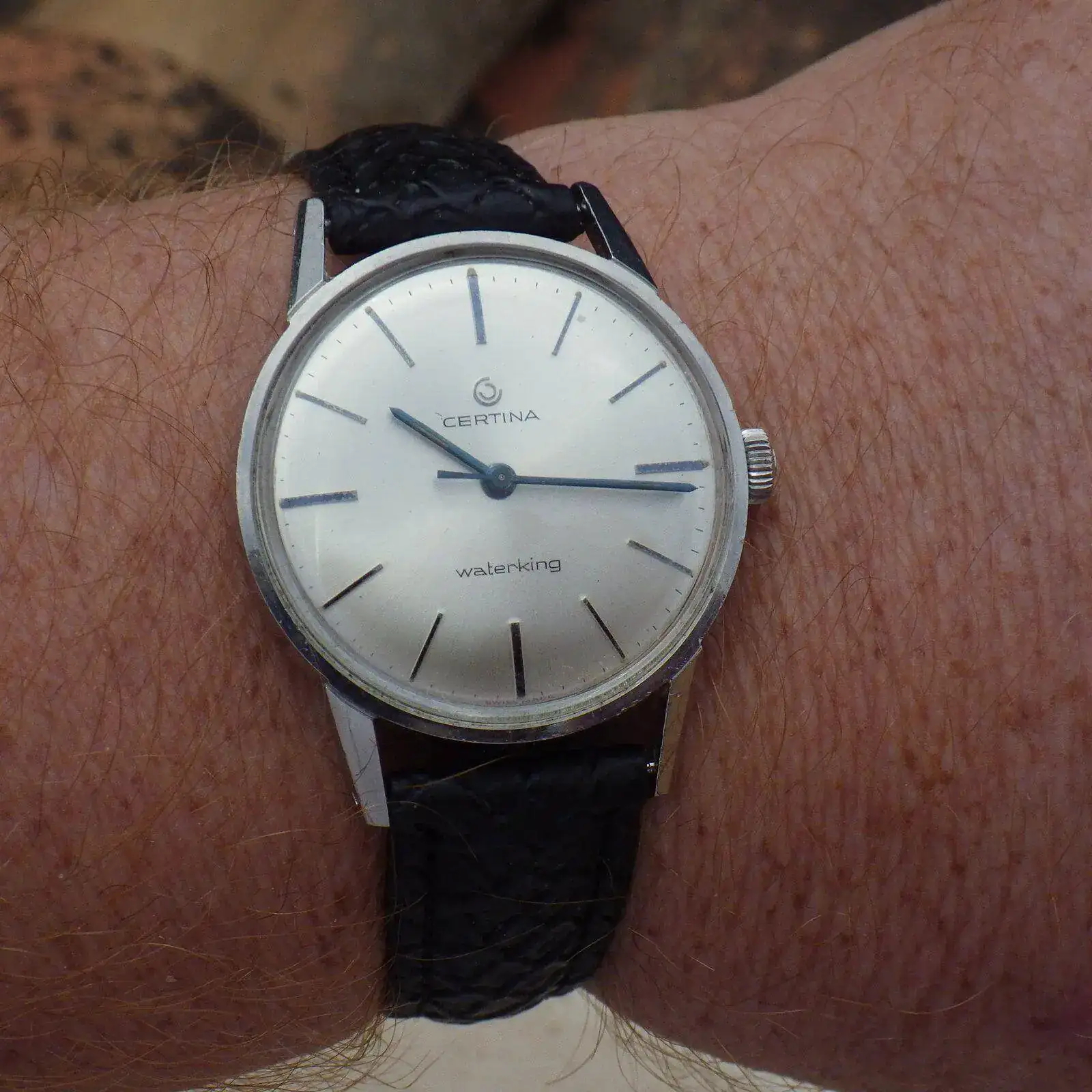 IMGP5341.webp