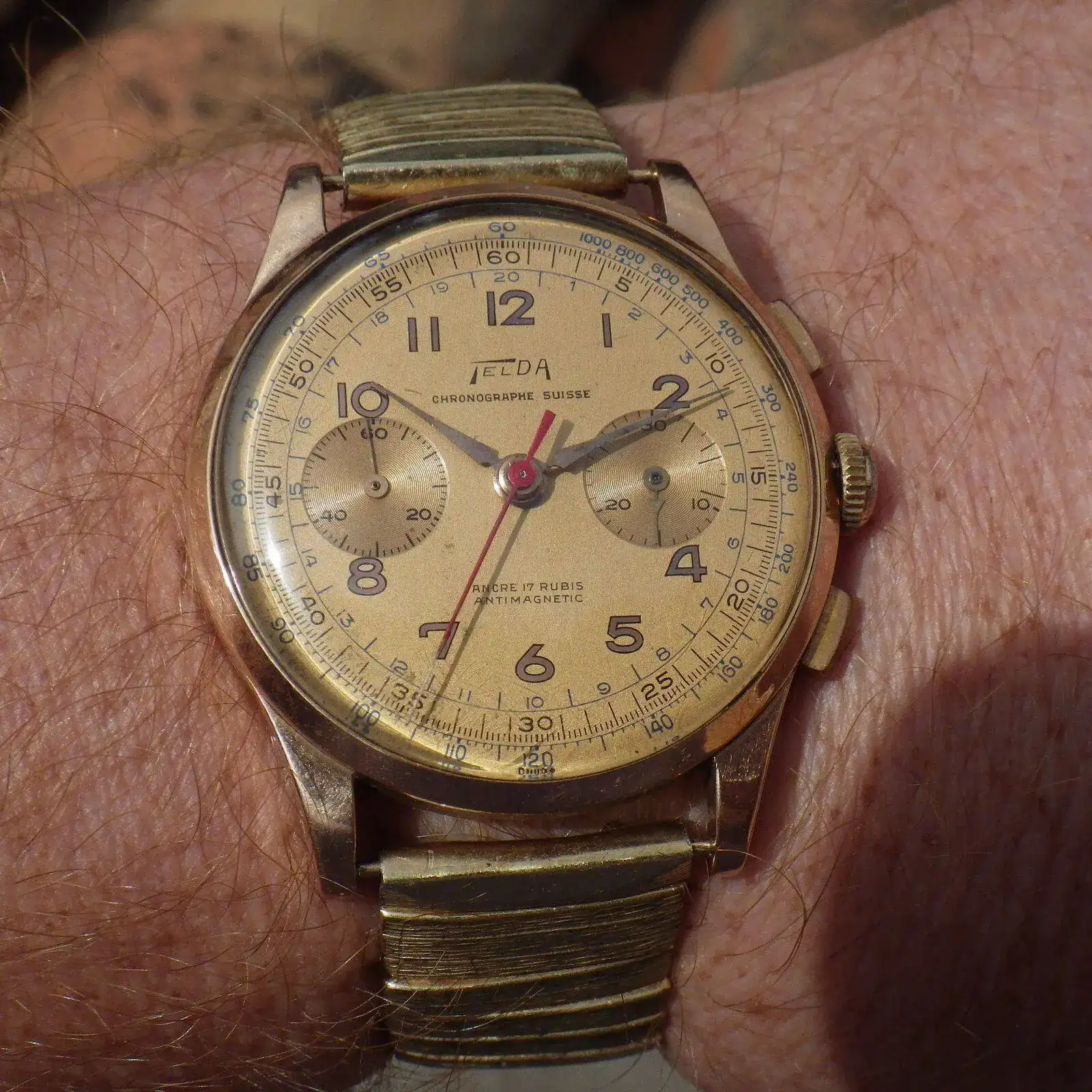 IMGP5355.webp