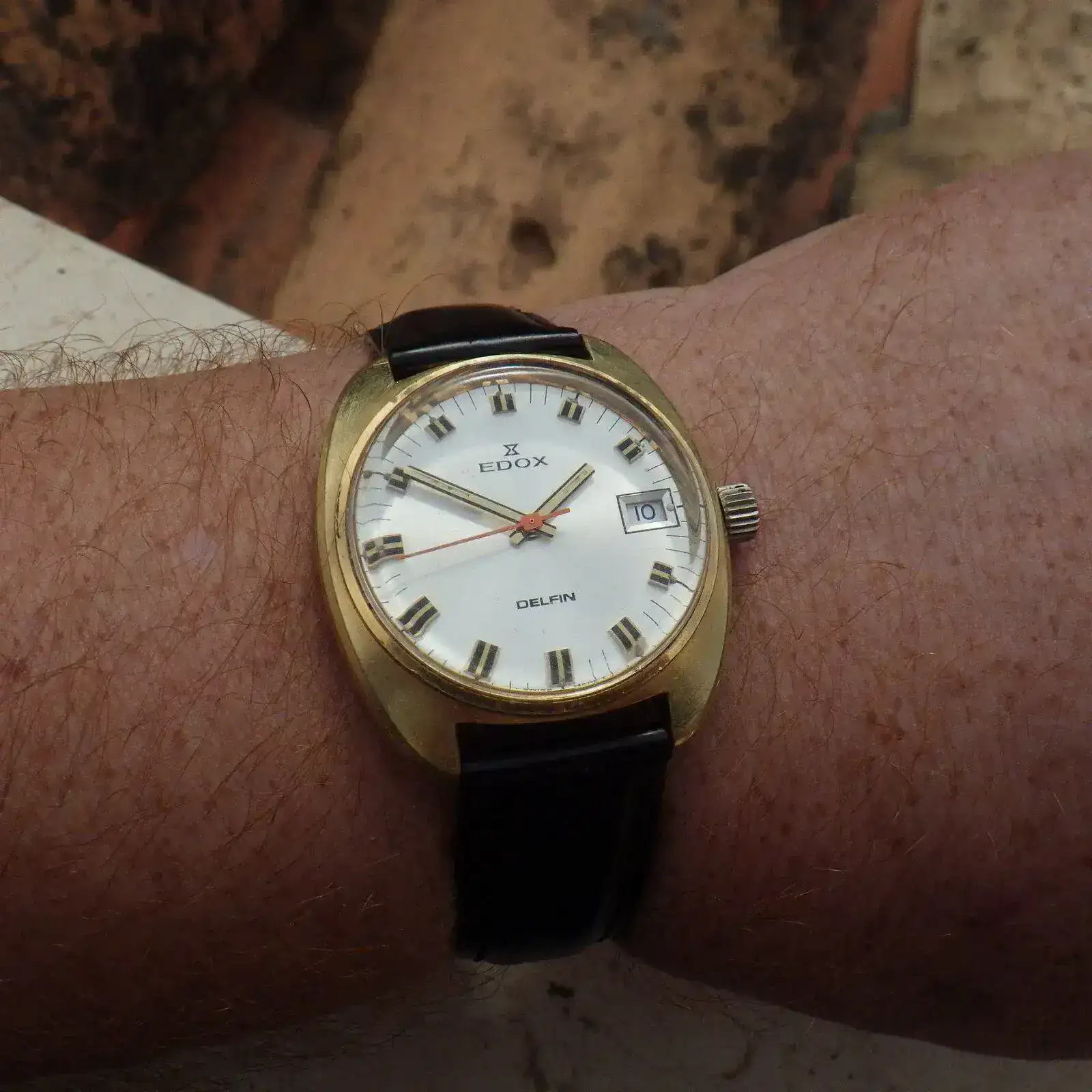 IMGP5381.webp