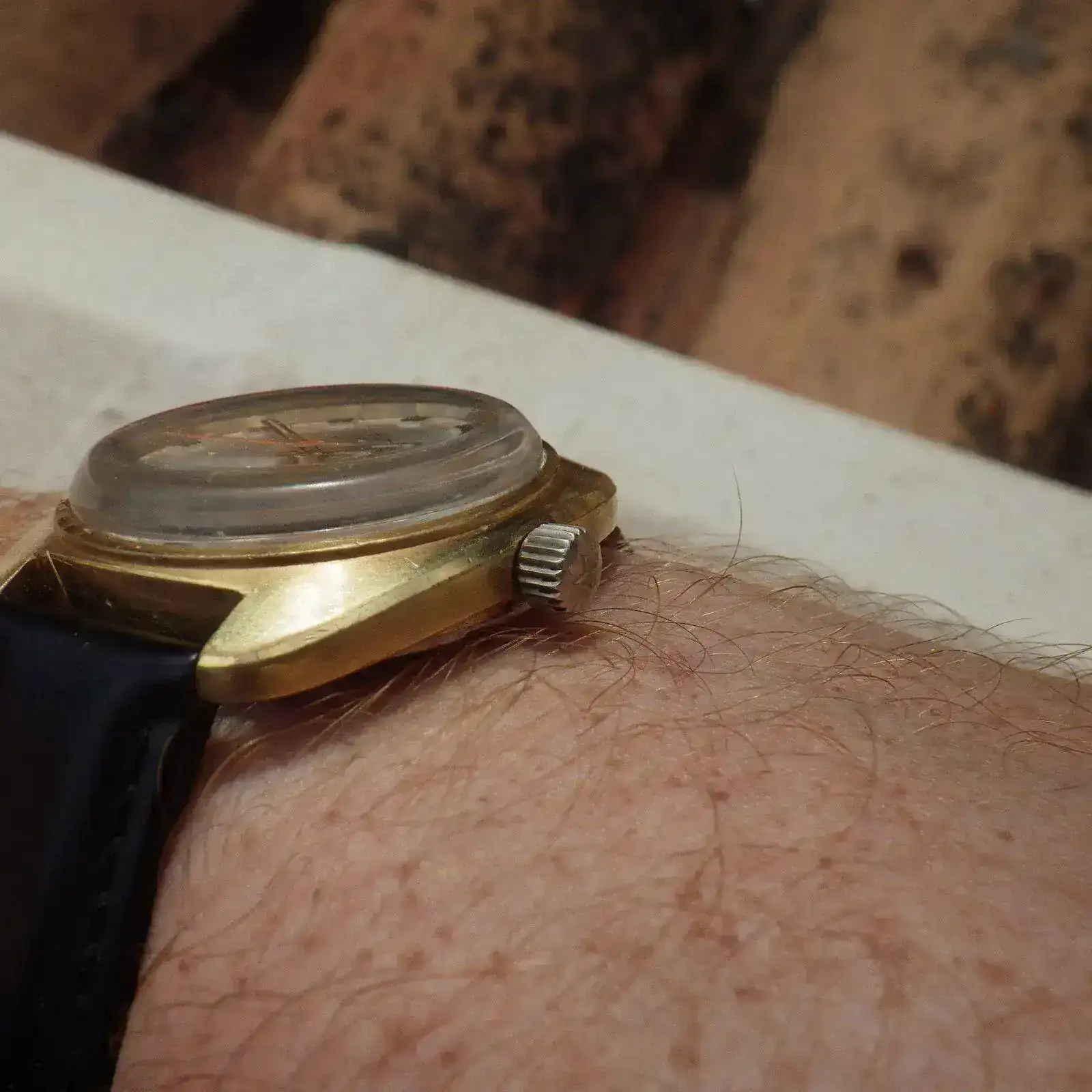 IMGP5382.webp