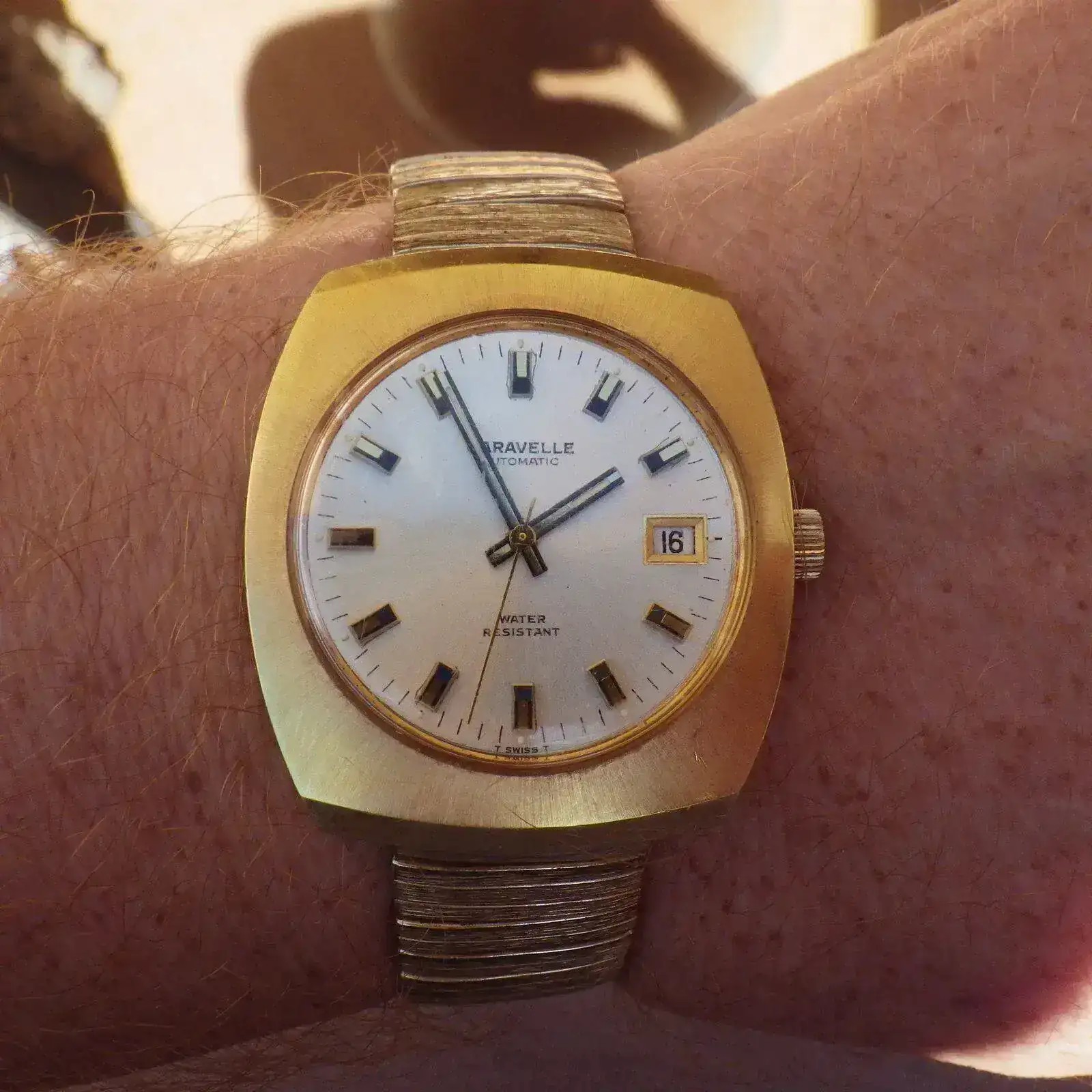IMGP5406.webp