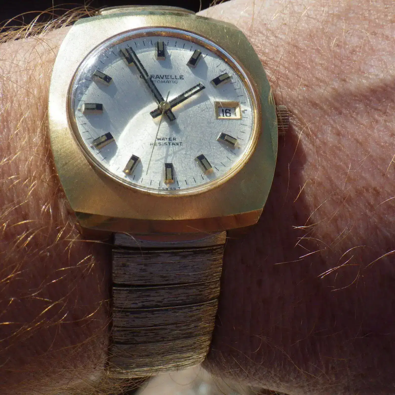 IMGP5411.webp