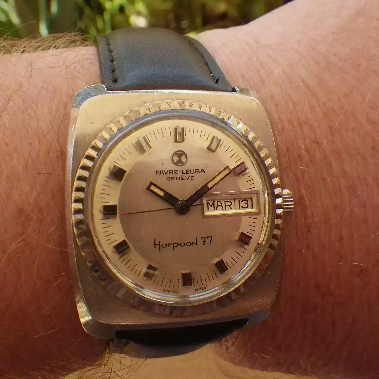 IMGP5435.webp