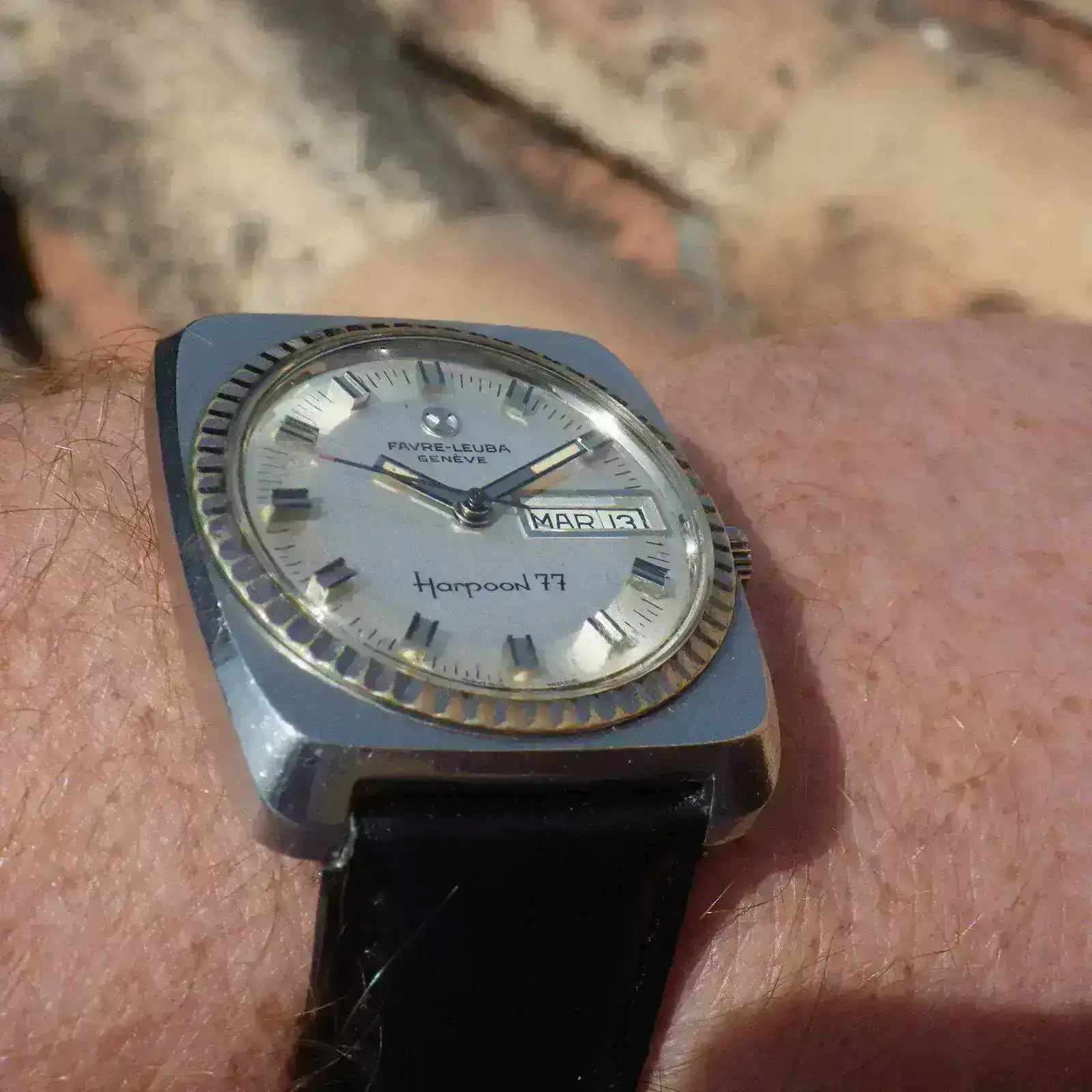 IMGP5442.webp
