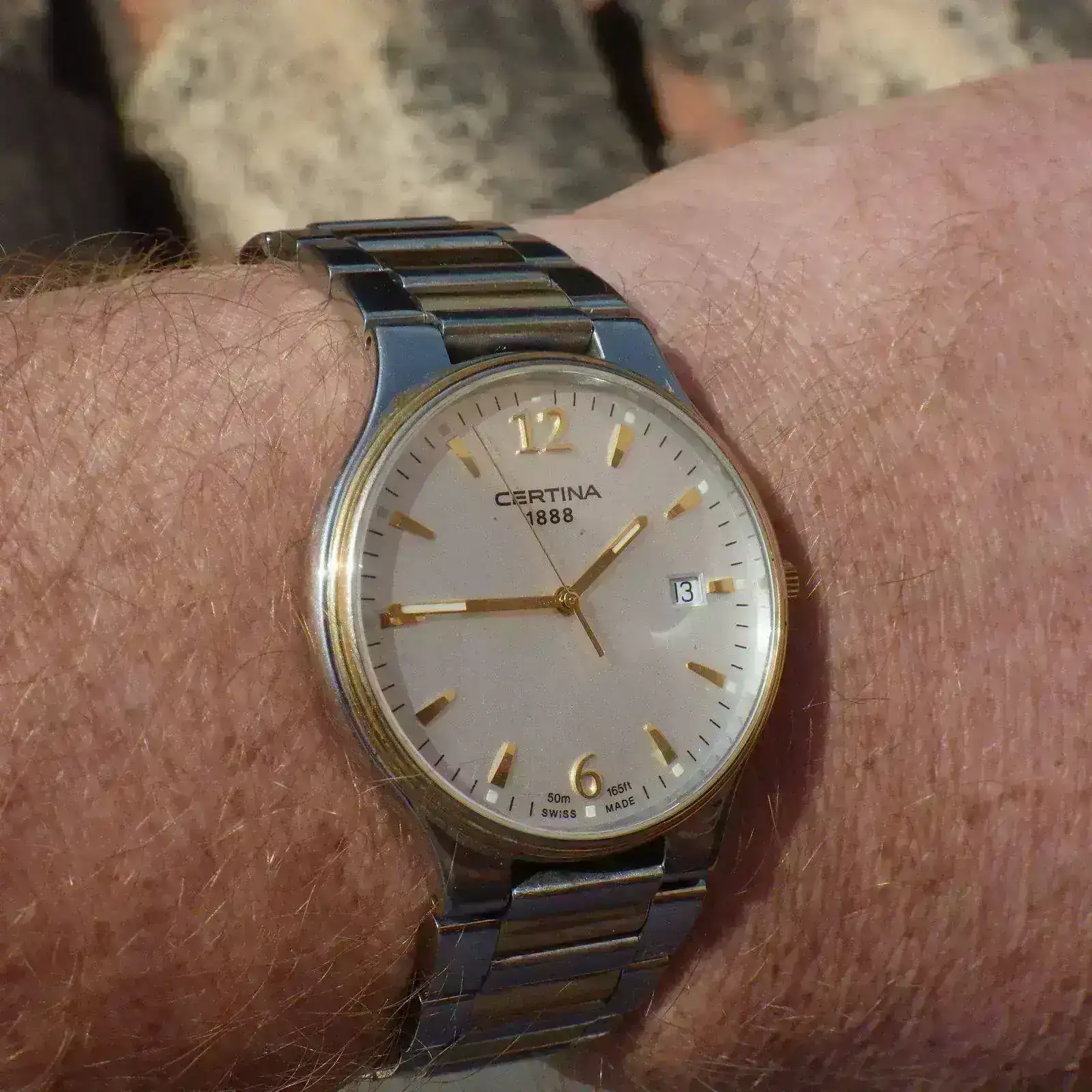 IMGP5452.webp