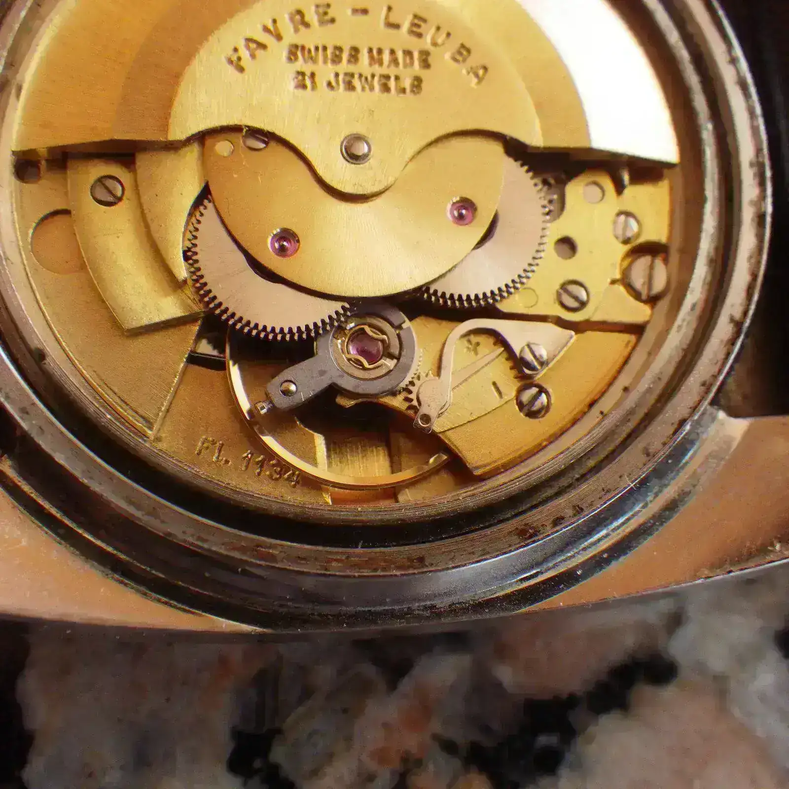 IMGP5463.webp