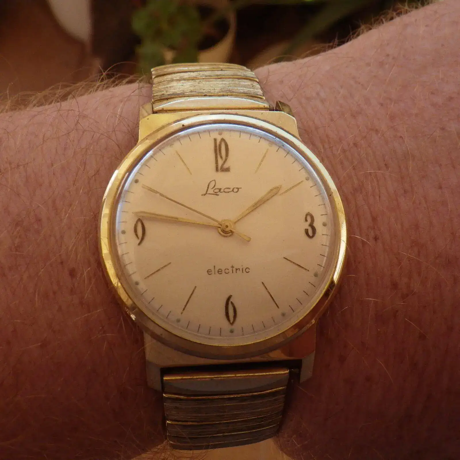 IMGP5503.webp