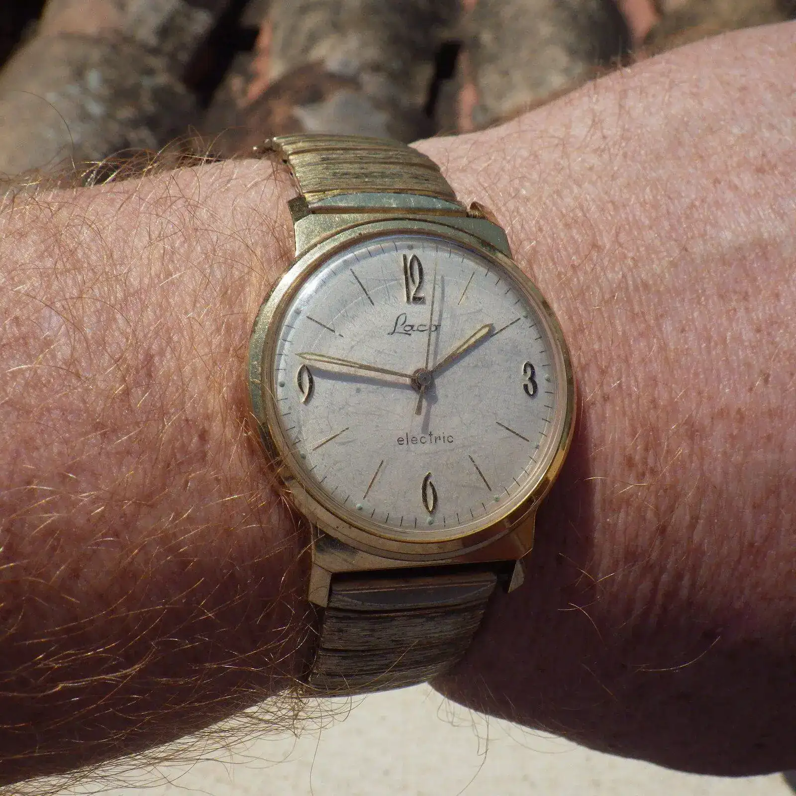 IMGP5504.webp