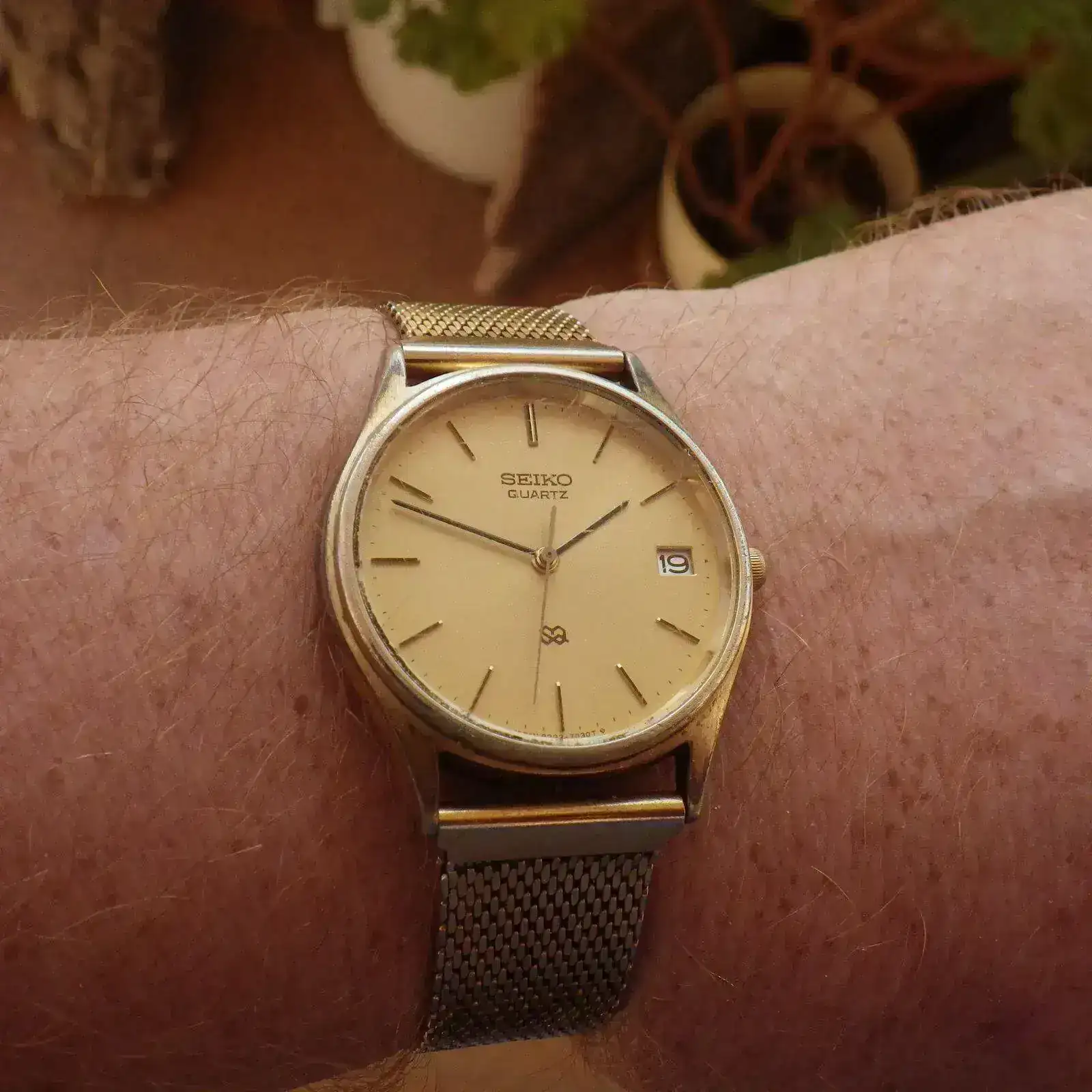IMGP5522.webp