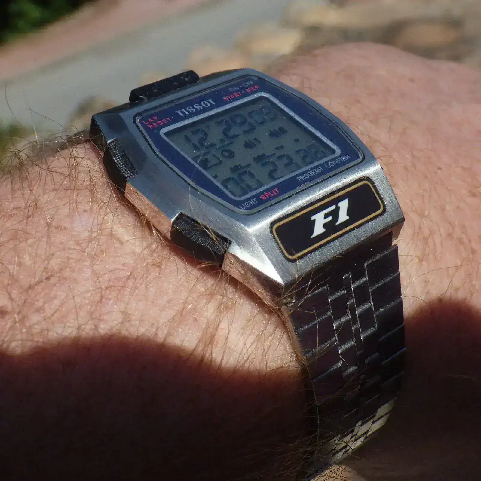 IMGP5543.webp