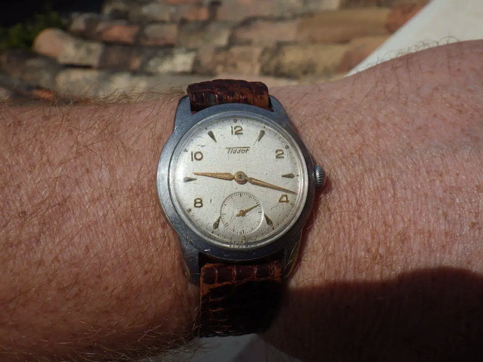 IMGP5558.webp