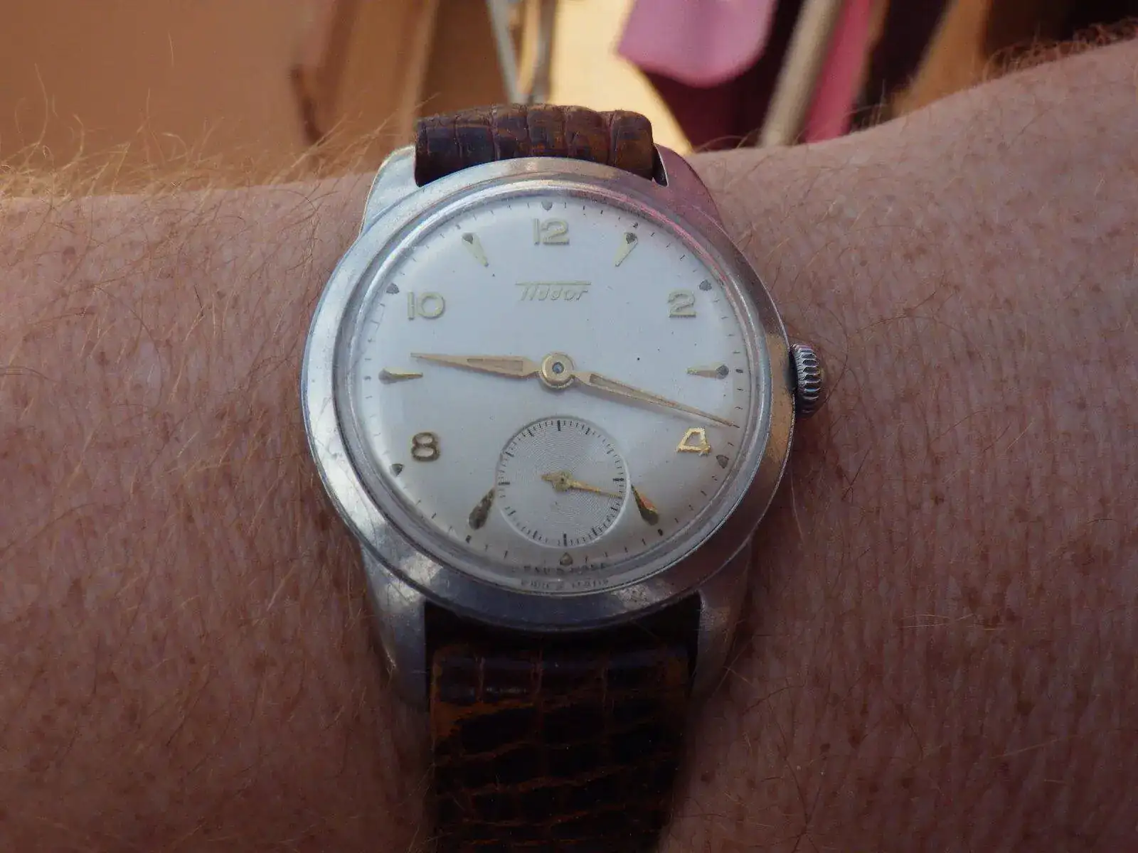 IMGP5559.webp