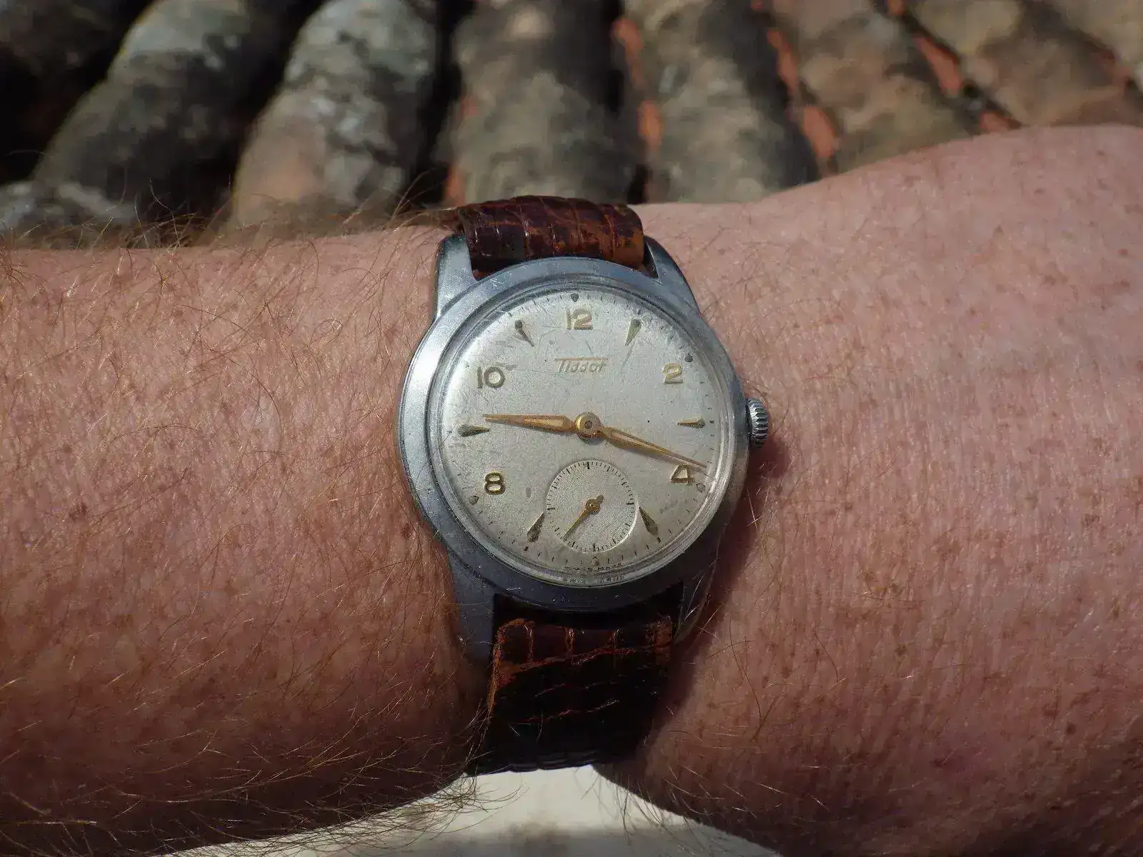 IMGP5562.webp