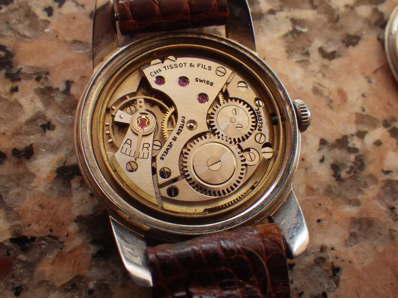 IMGP5564.webp