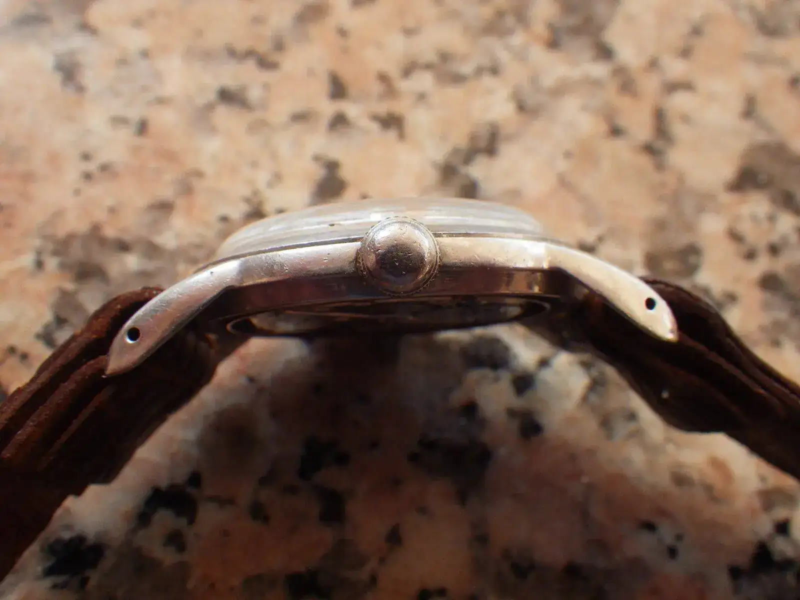 IMGP5569.webp