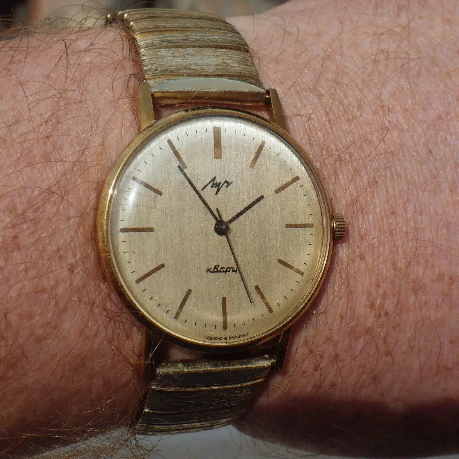IMGP5596.webp