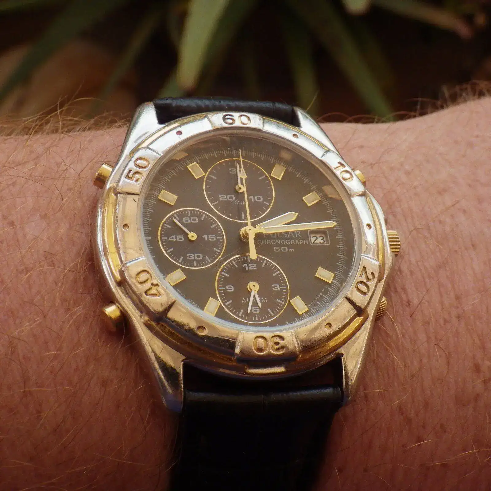 IMGP5599.webp