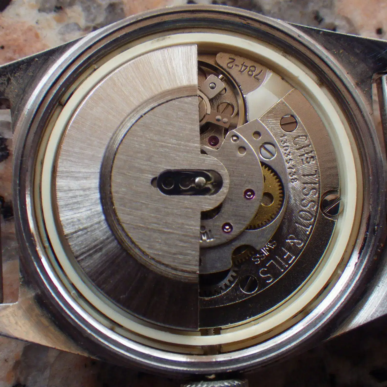 IMGP5620.webp