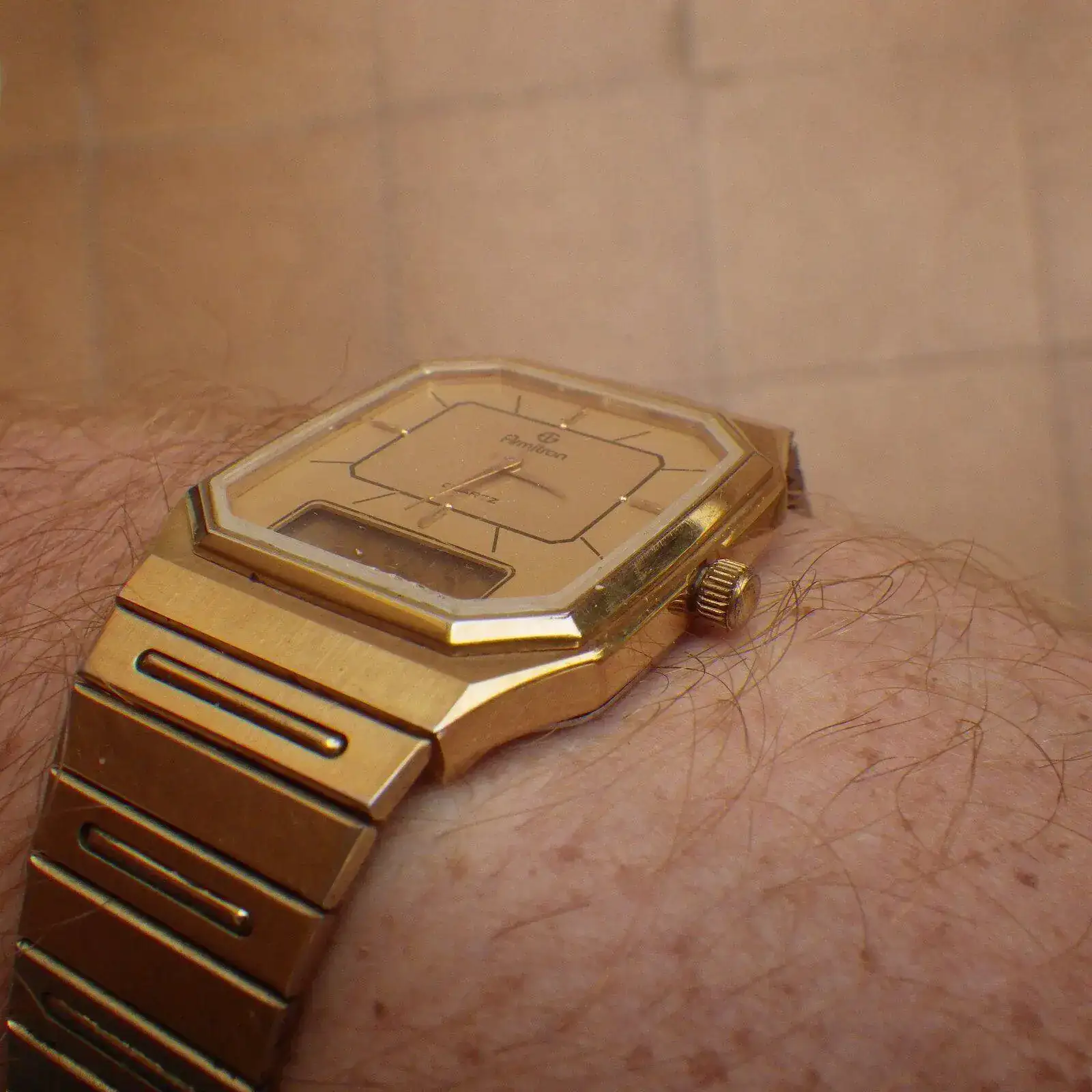 IMGP5637.webp