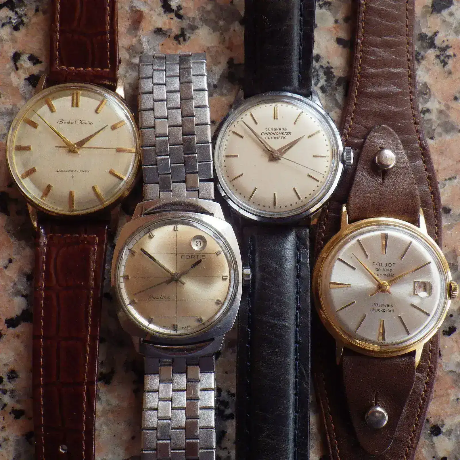 IMGP5642.webp