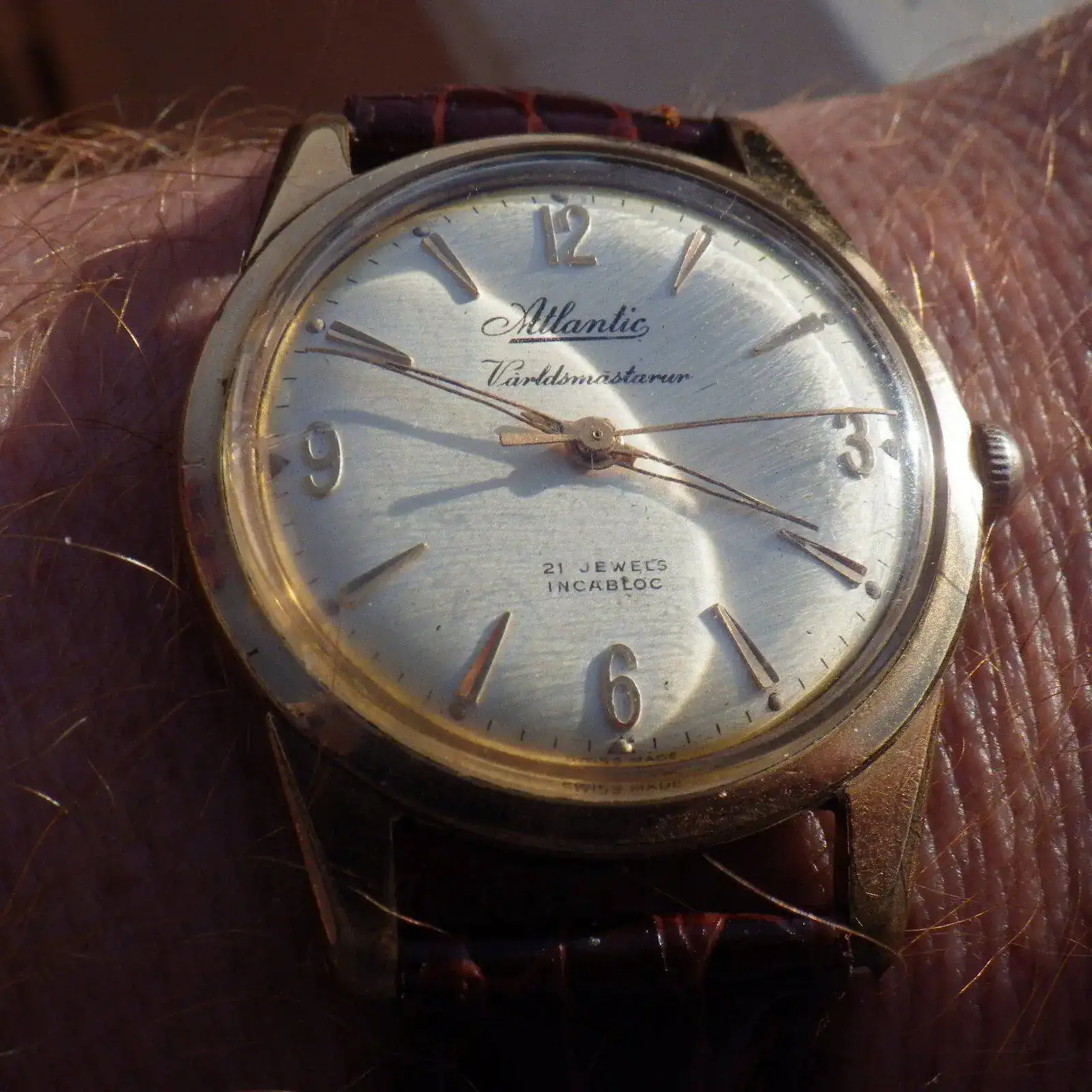 IMGP5676.webp