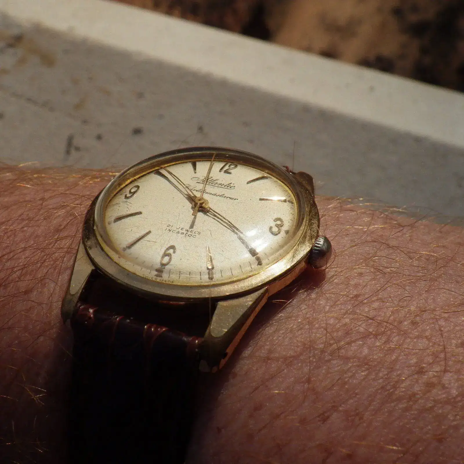 IMGP5686.webp