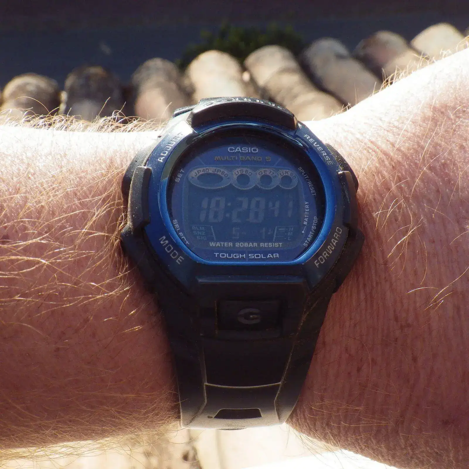 IMGP5707.webp