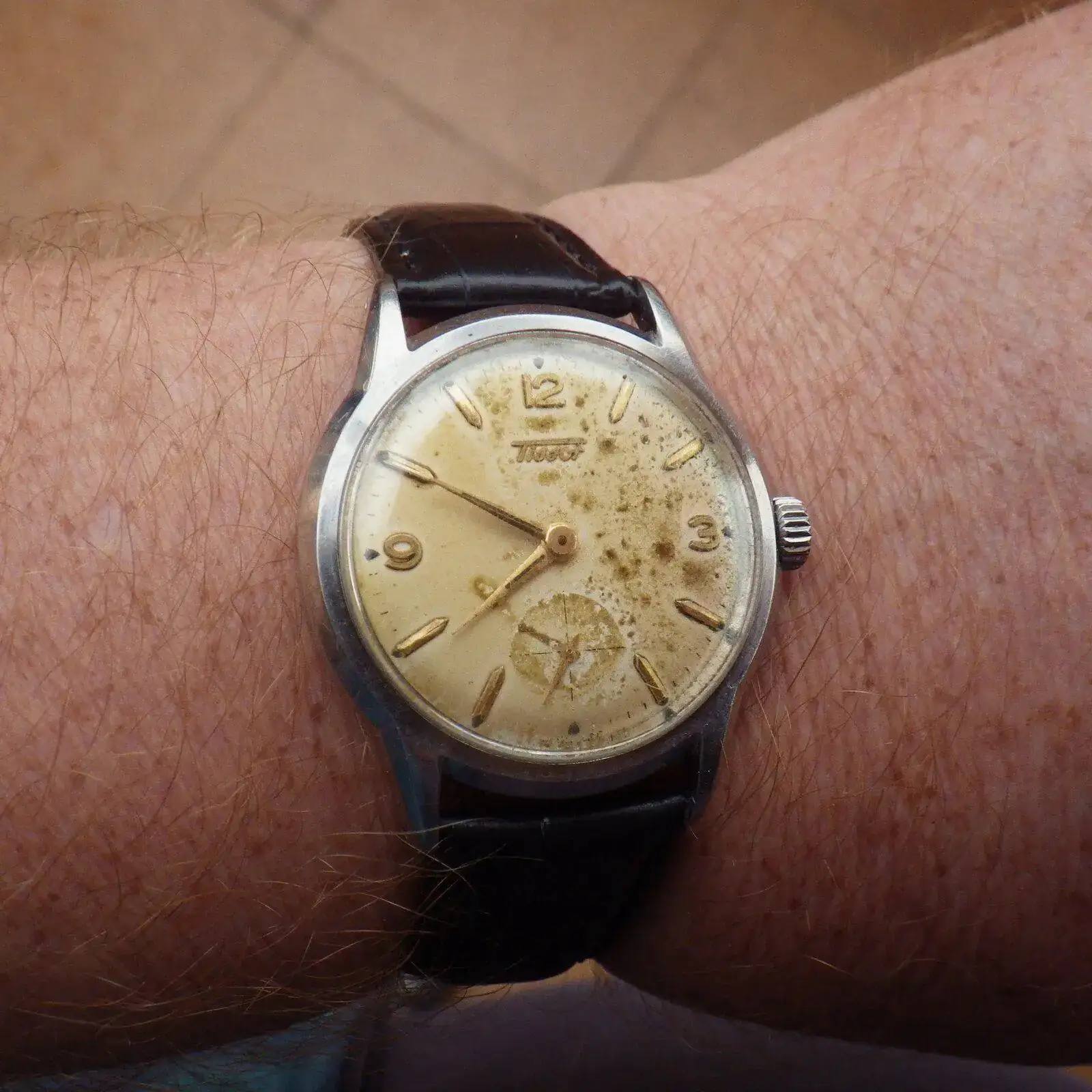 IMGP5711.webp