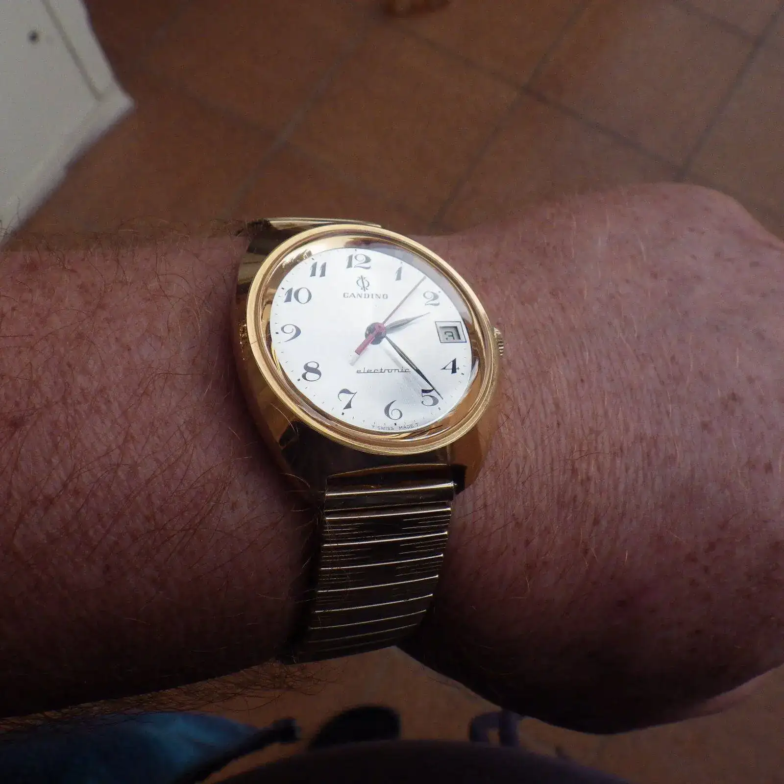 IMGP5726.webp