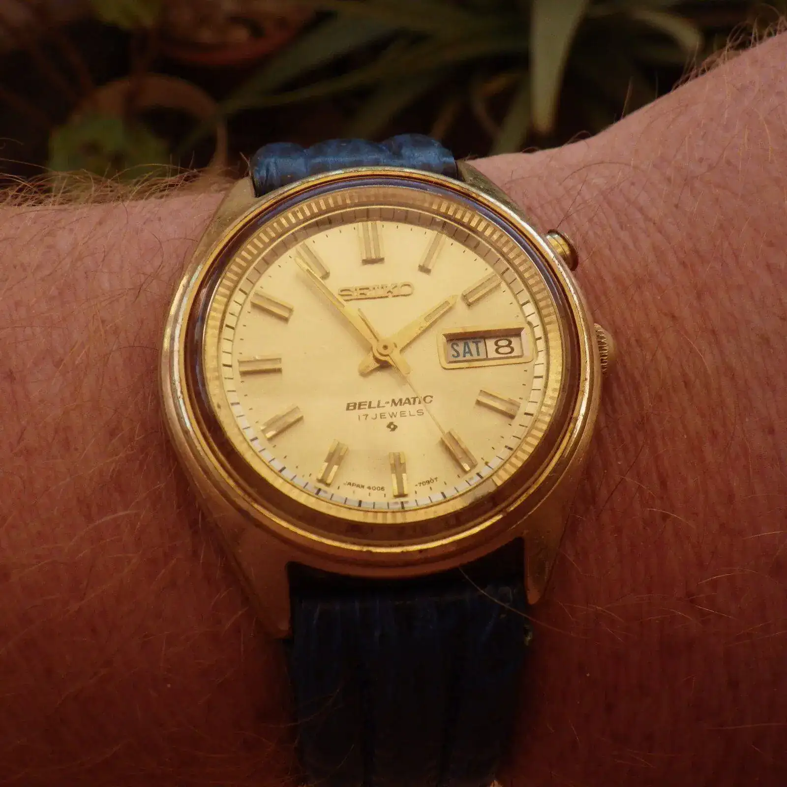 IMGP5774.webp