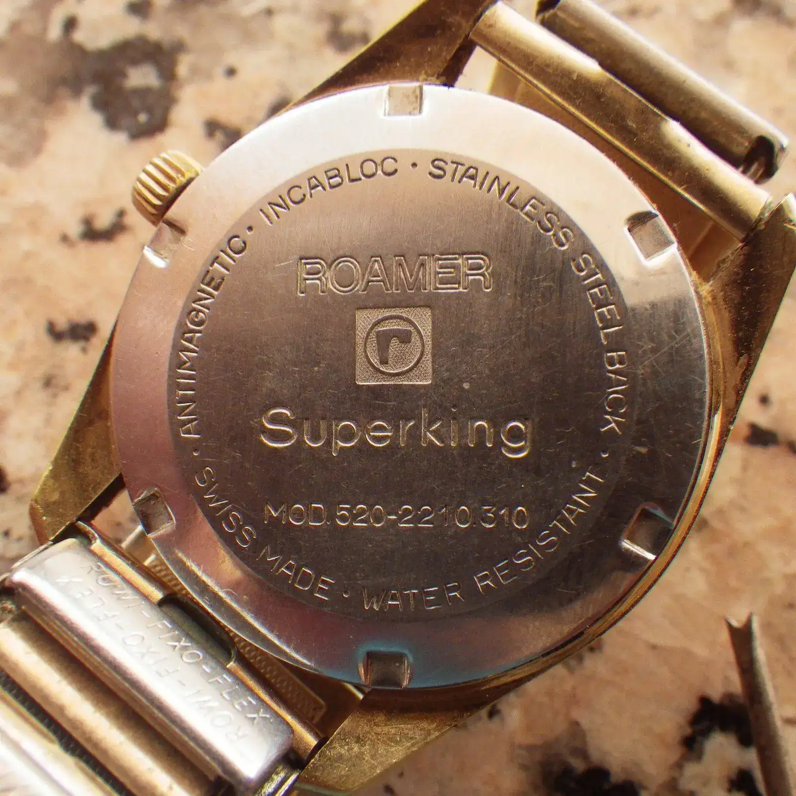 IMGP5787.webp