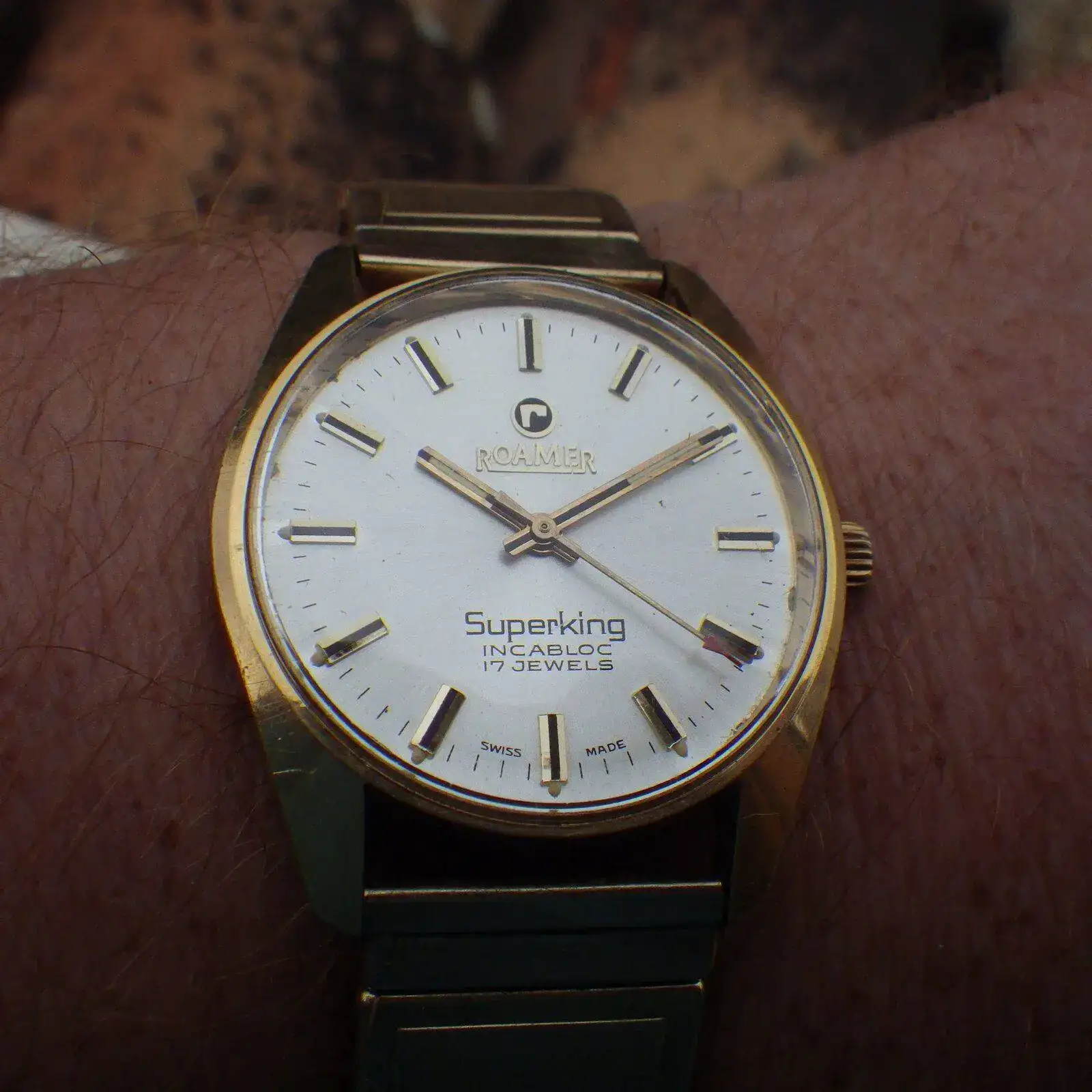 IMGP5789.webp
