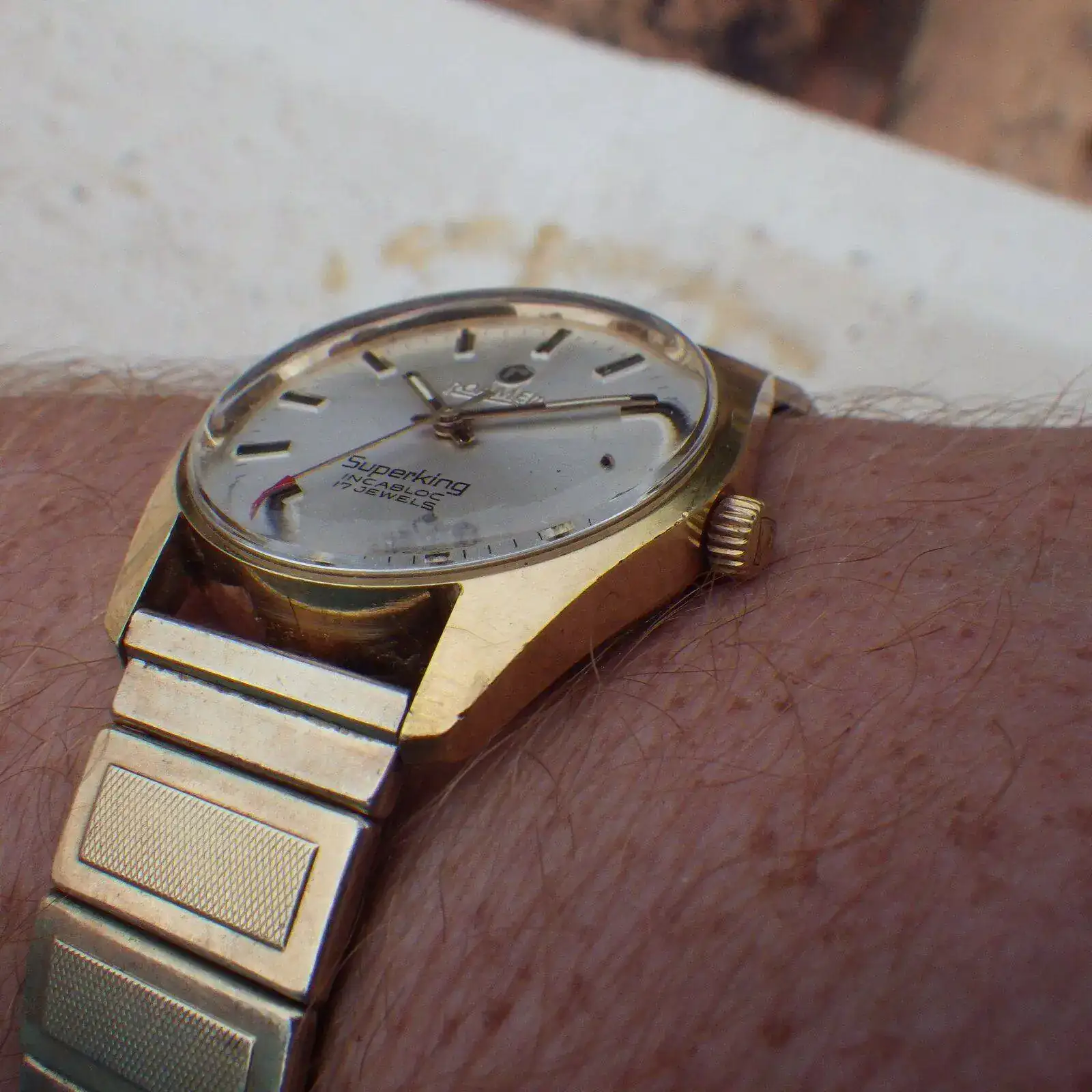IMGP5790.webp