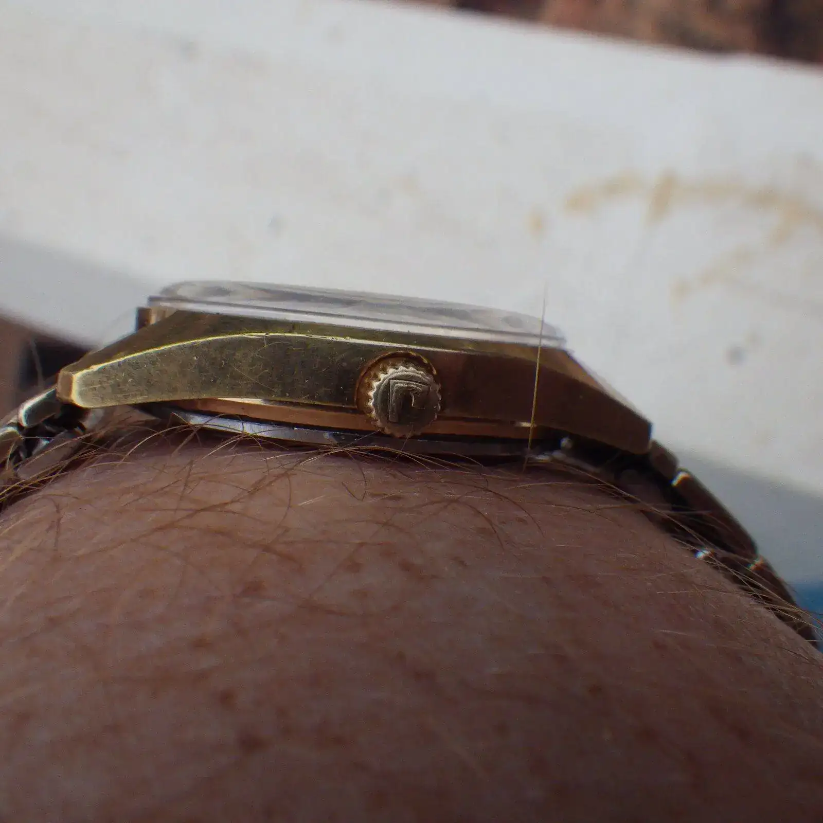 IMGP5791.webp