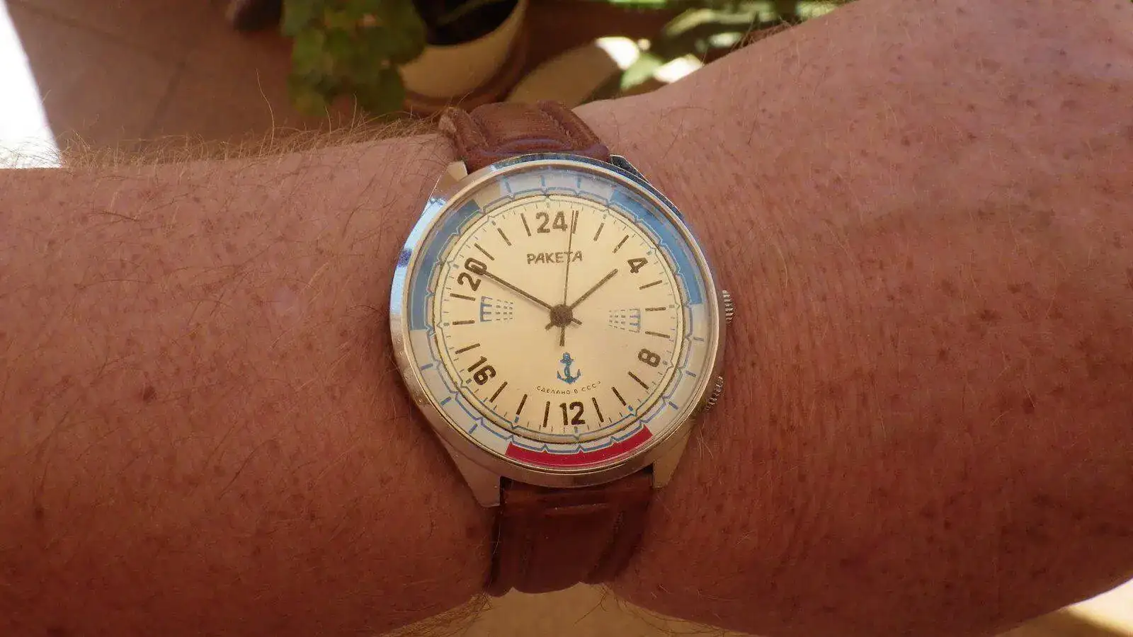 IMGP5855.webp