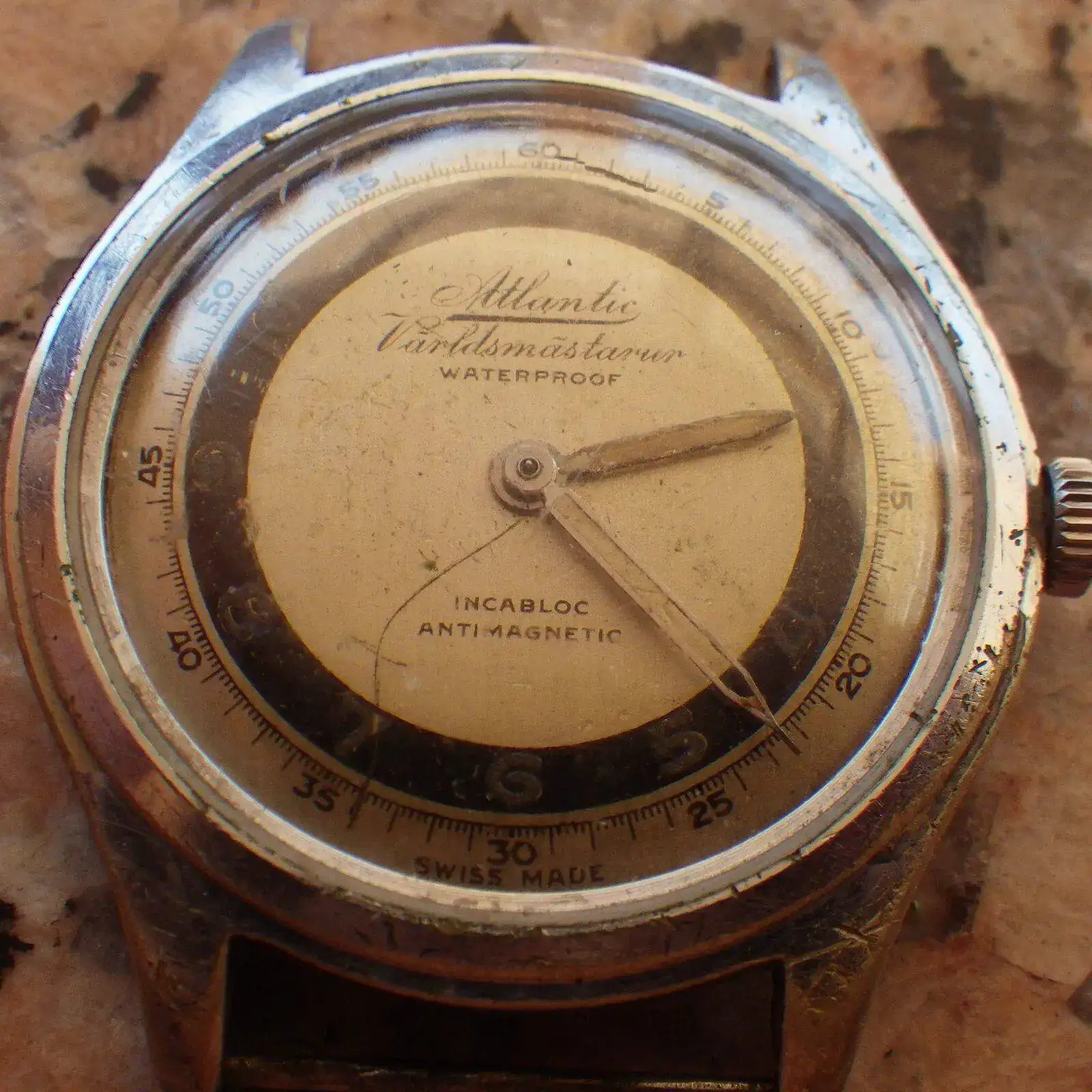 IMGP5877.webp