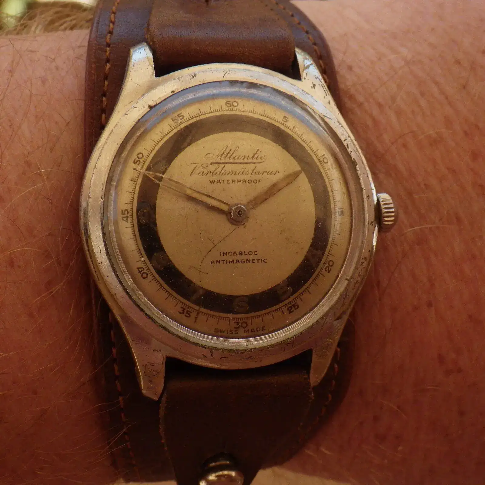 IMGP5897.webp