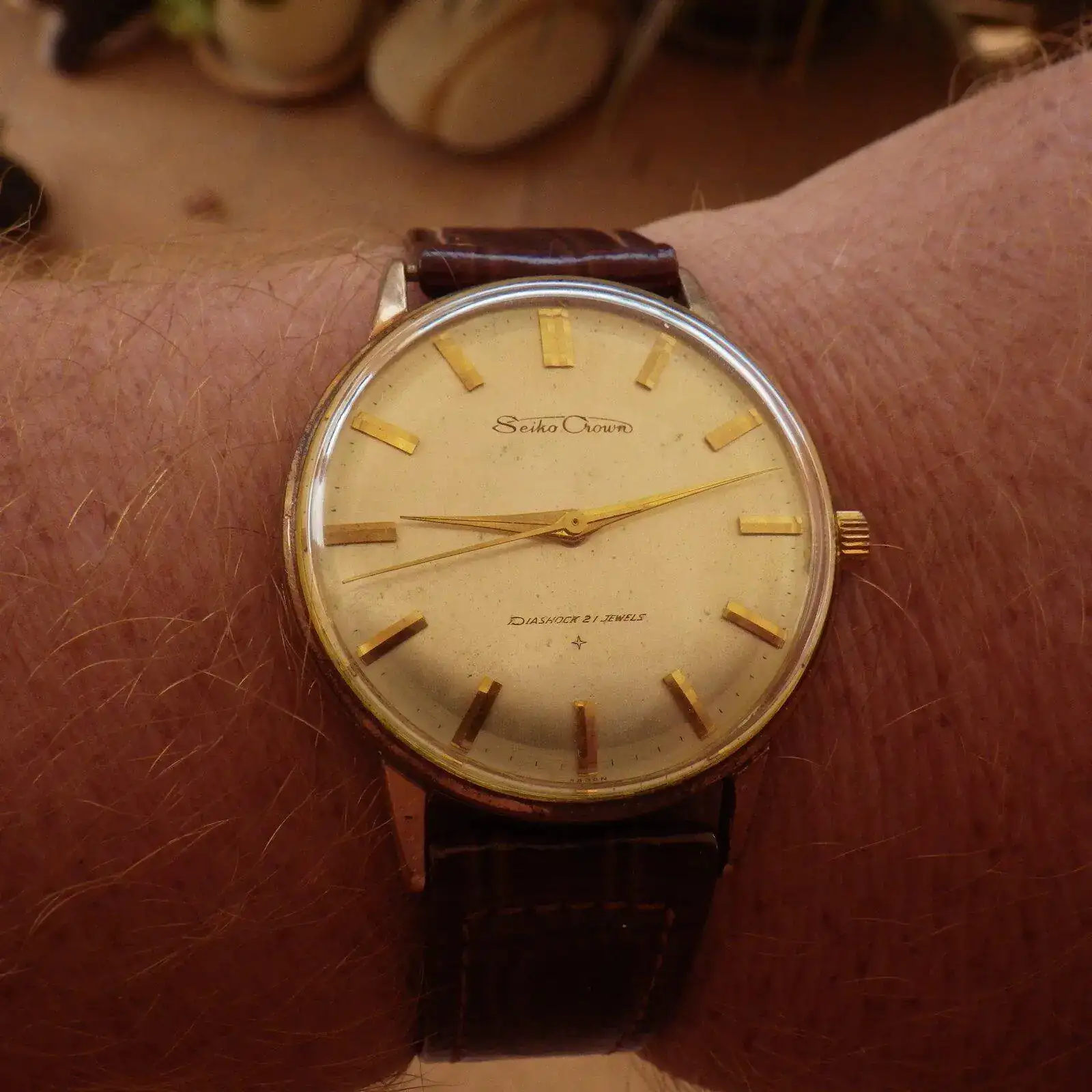 IMGP5935.webp