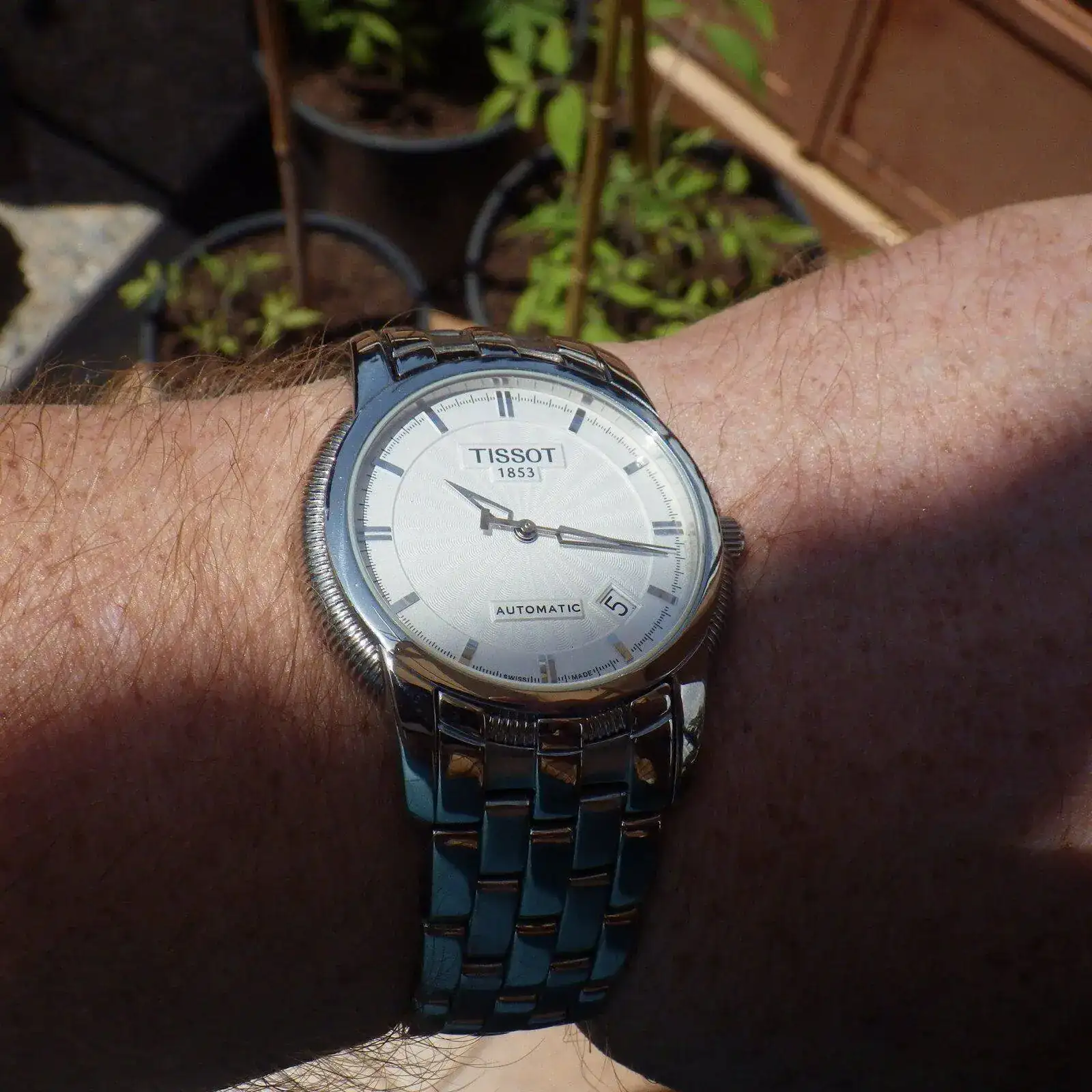 IMGP5942.webp