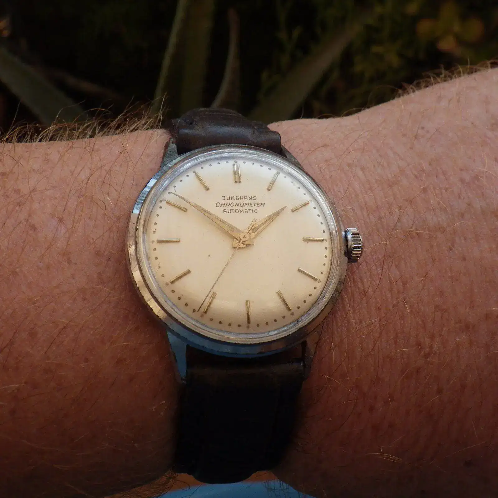 IMGP5944.webp