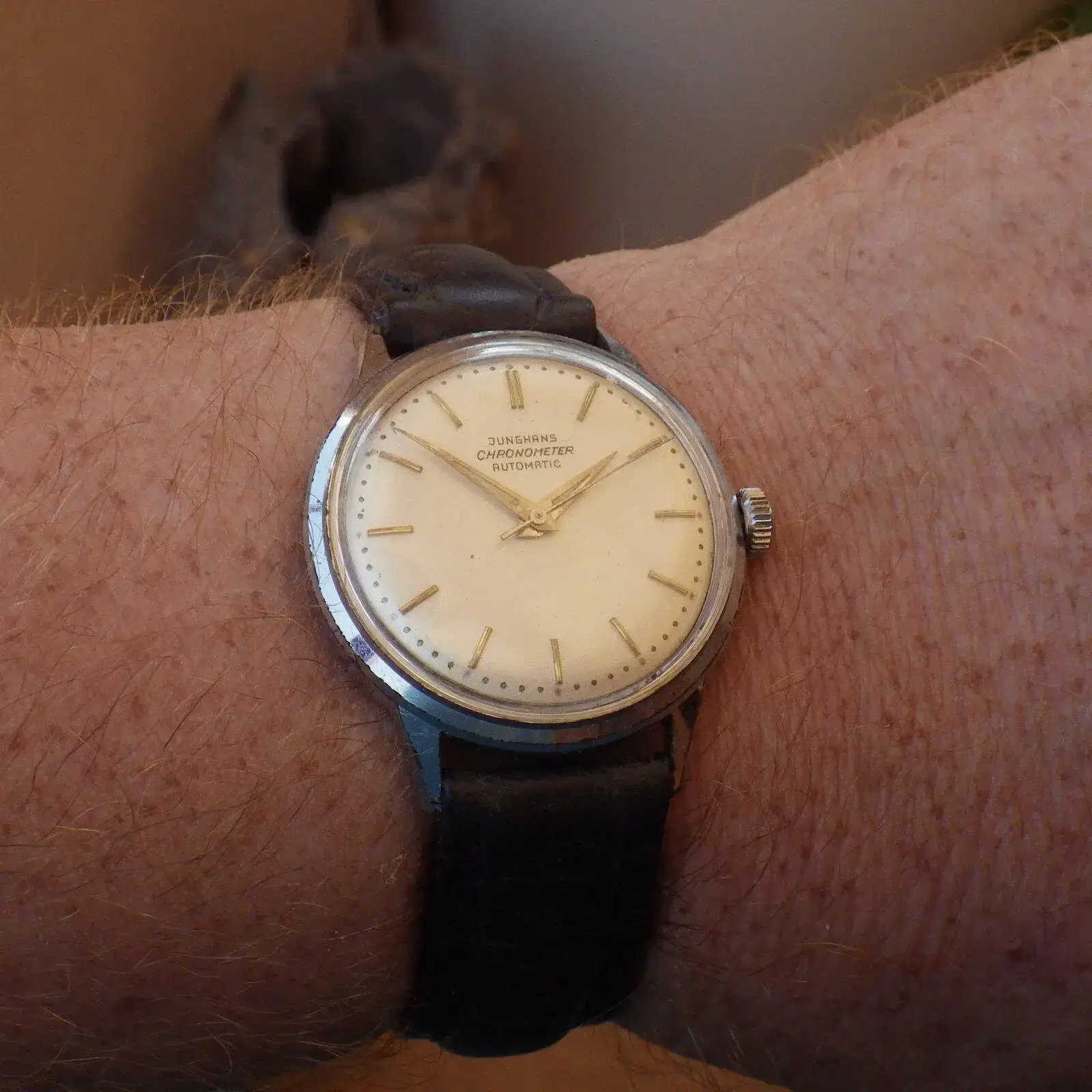 IMGP5947.webp