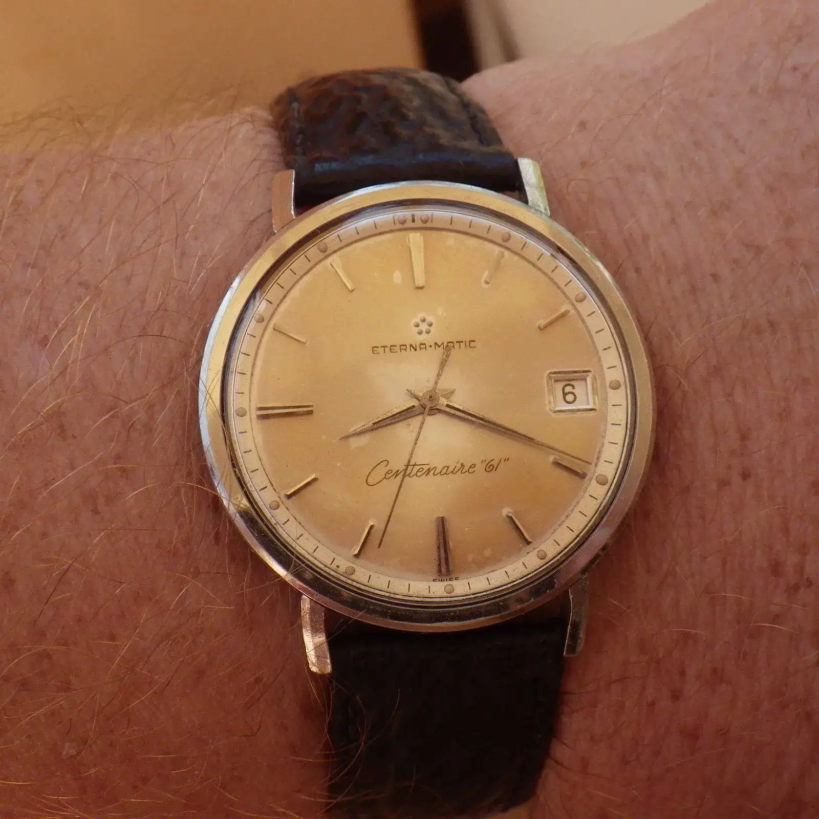 IMGP5952.webp