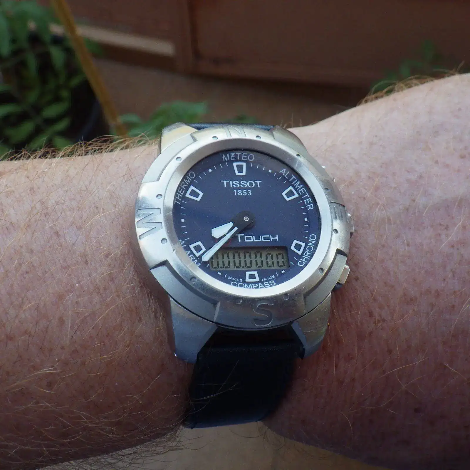 IMGP6004.webp