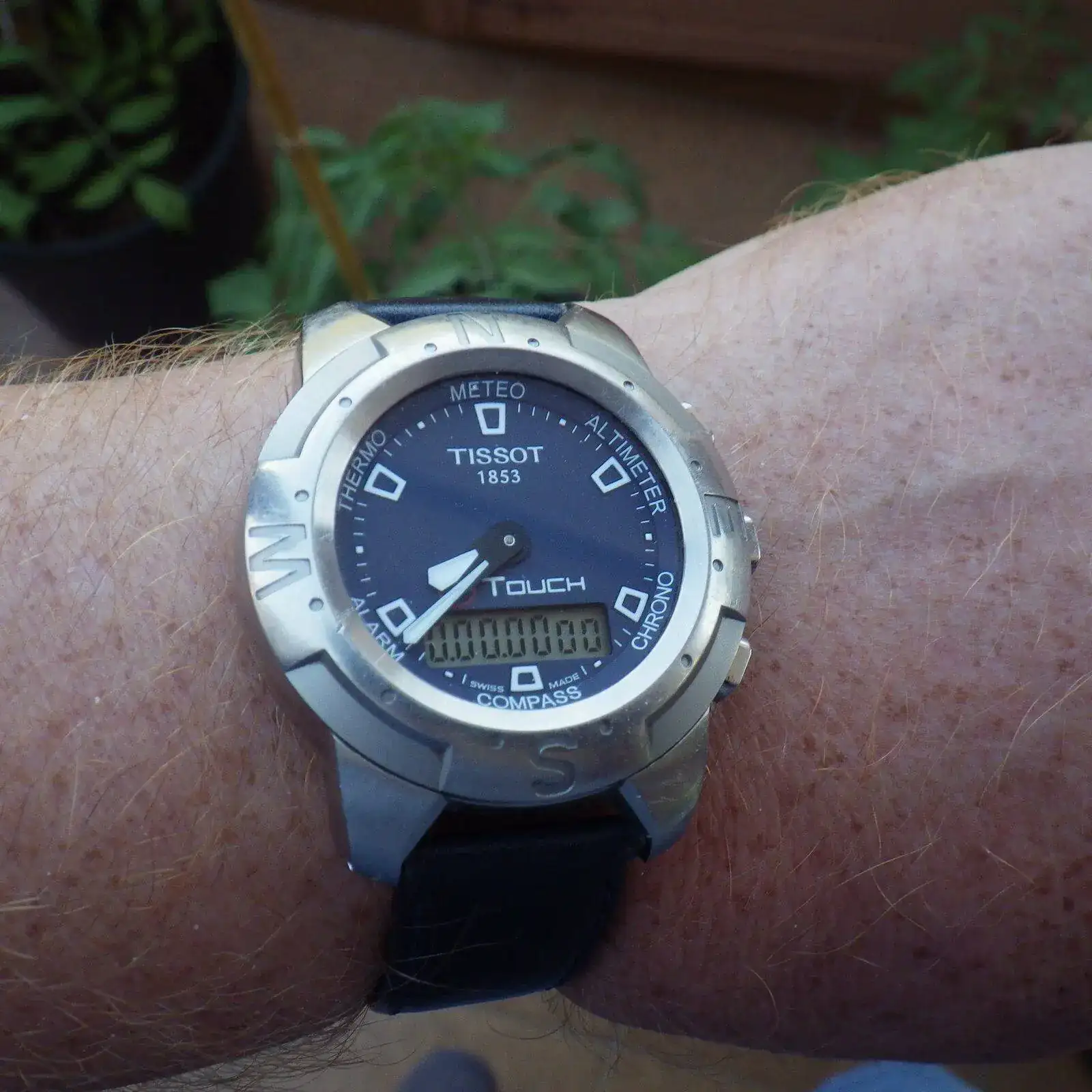 IMGP6007.webp